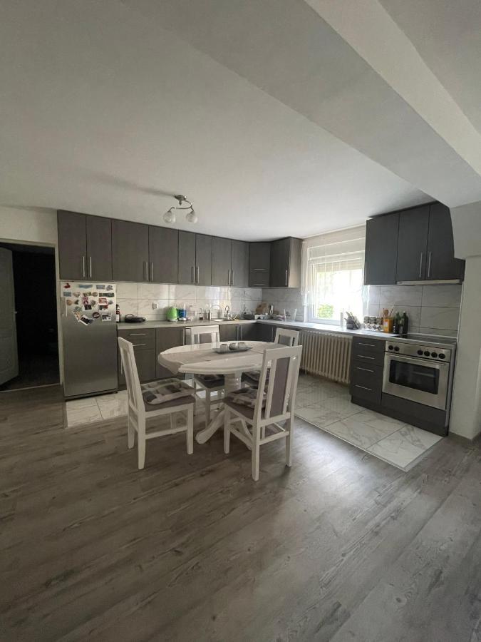 Antic Apartment Pozarevac Bagian luar foto