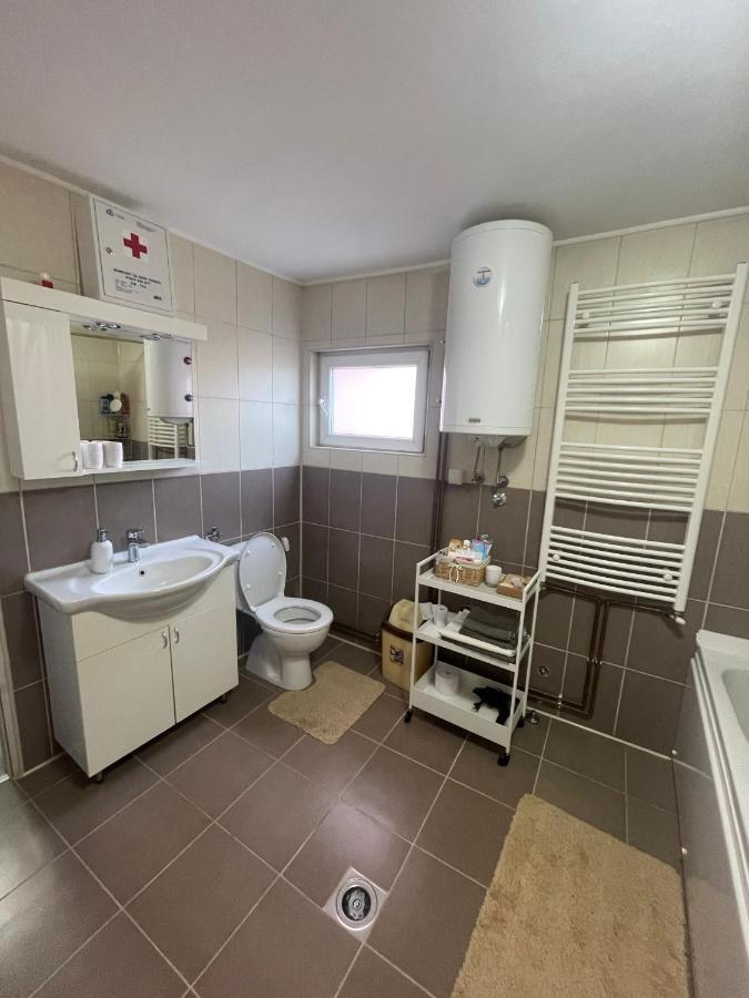 Antic Apartment Pozarevac Bagian luar foto